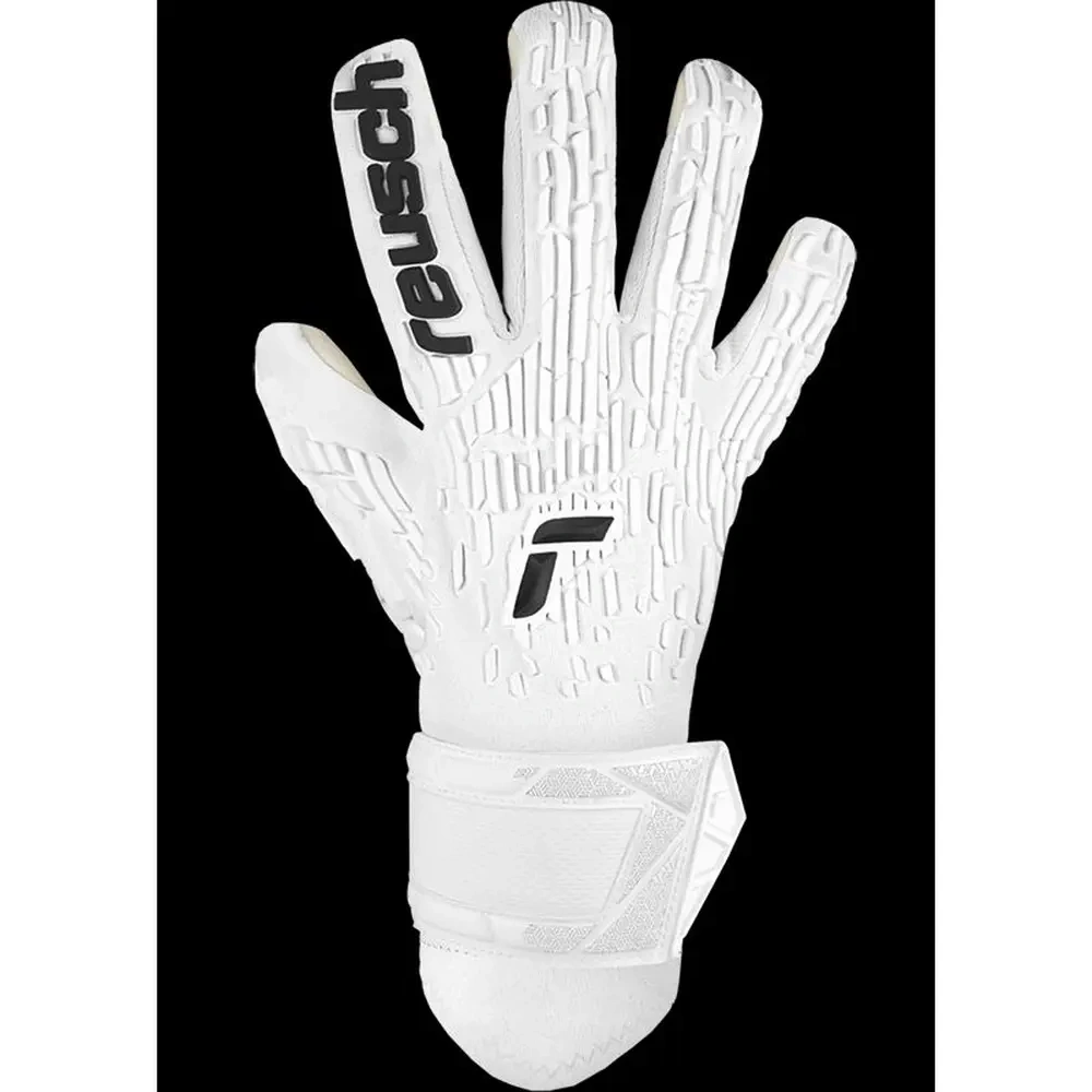 xlarge-clean_ffe9953785d7f343.webp