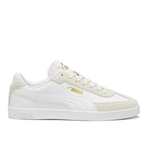 xlarge-clean_08916a9bf1237ba2.webp