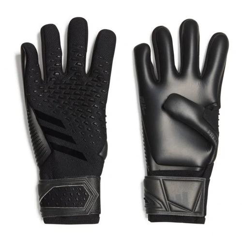 xlarge-clean_0a27fd506da28da7.webp