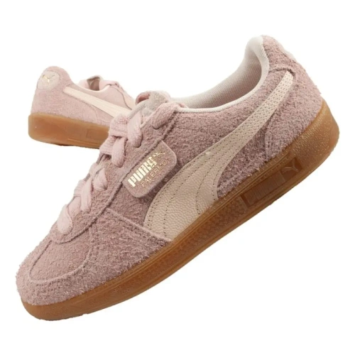 xlarge-clean_117aeee84a24ae69.webp