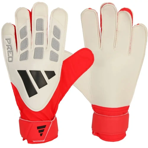 xlarge-clean_12f6e2900c758b96.webp