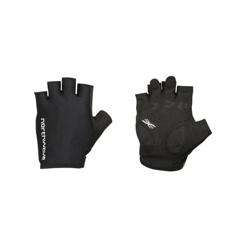xlarge-clean_17a6abae1a7ccd43.webp