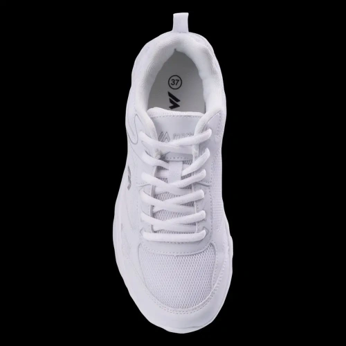 xlarge-clean_185d006529878f5e.webp