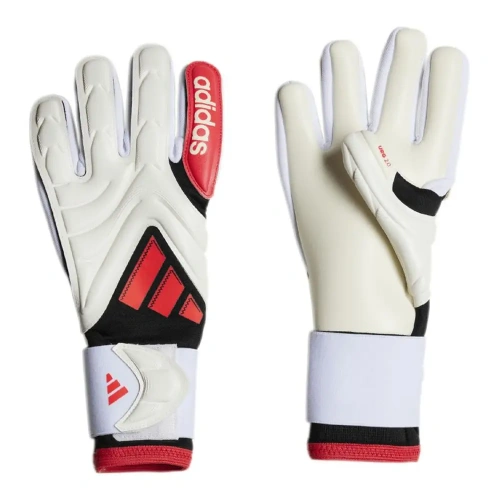xlarge-clean_2122a11a8ddf76fb.webp