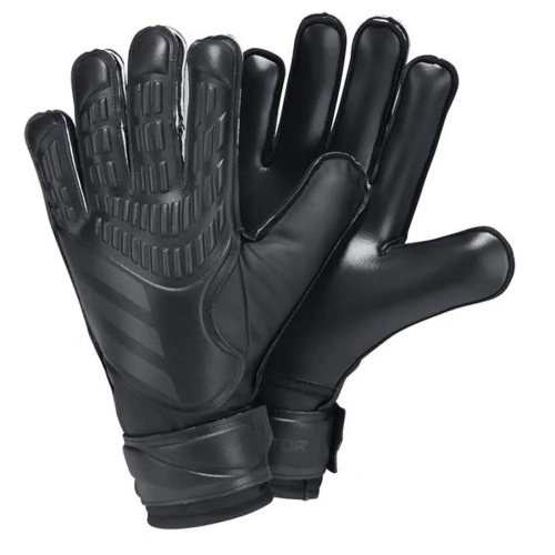 xlarge-clean_24bd3423fb17279c.webp