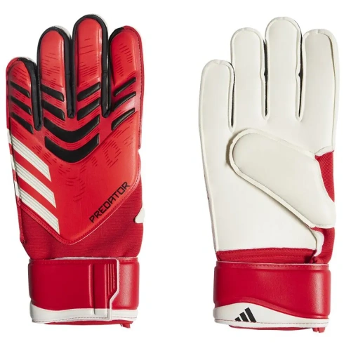 xlarge-clean_25f033be0482b56c.webp