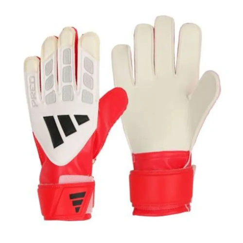 xlarge-clean_26c0a291ddd91a8d.webp