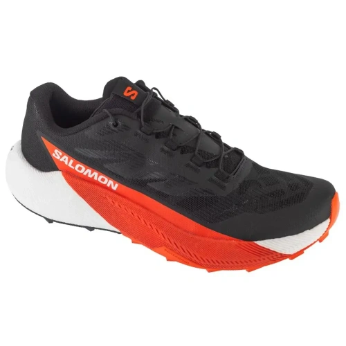 xlarge-clean_38d0be7ef508a2dc.webp