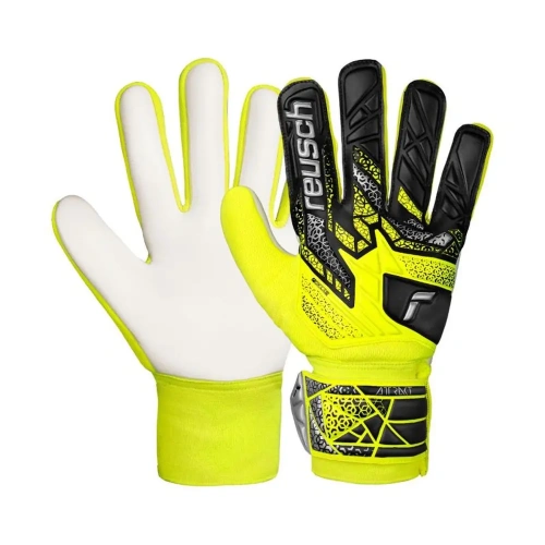 xlarge-clean_4133103bace129cb.webp