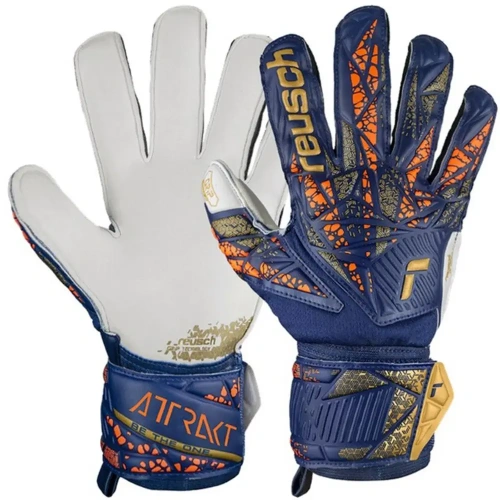 xlarge-clean_4623e0479f07f2bd.webp