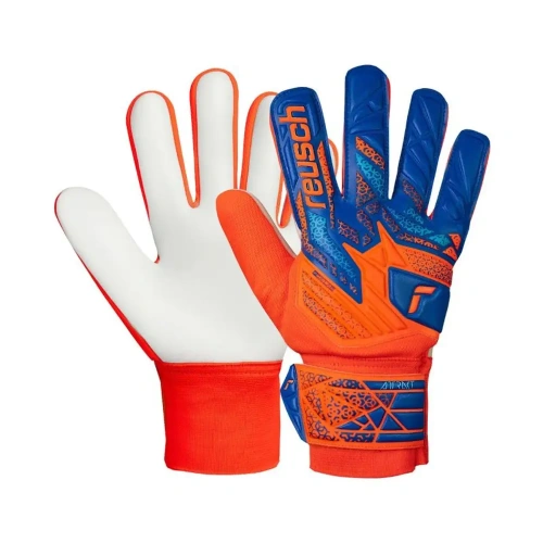 xlarge-clean_4e1cbebe59c0d391.webp