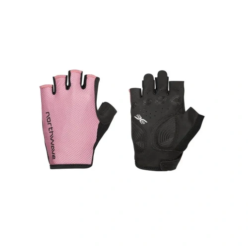xlarge-clean_5f37d380b84d513b.webp