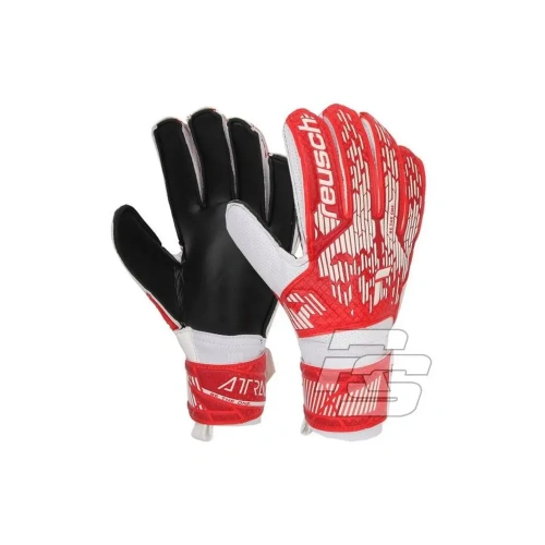 xlarge-clean_60f51affe4bf3330.webp