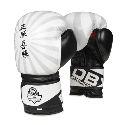 xlarge-clean_637661b77e0c442a.webp
