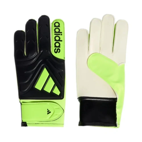 xlarge-clean_647d218a59858474.webp