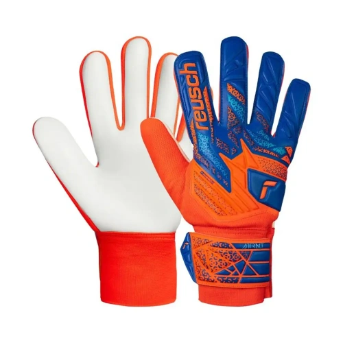 xlarge-clean_6b8a005708b1e887.webp