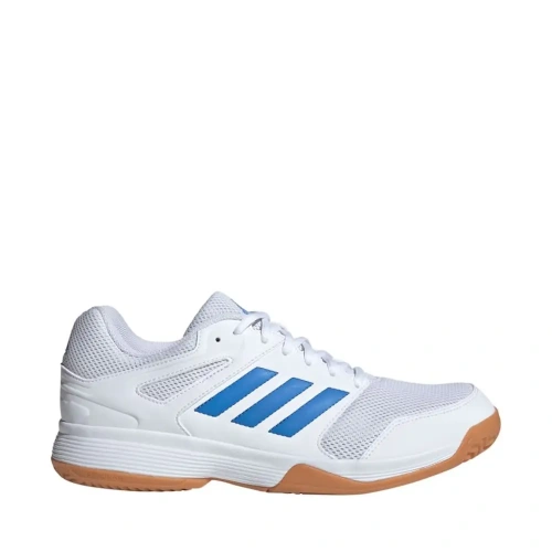 xlarge-clean_6c3d311b1bd361ae.webp