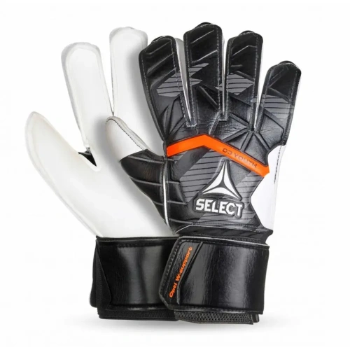 xlarge-clean_6f8a1e695155fc07.webp