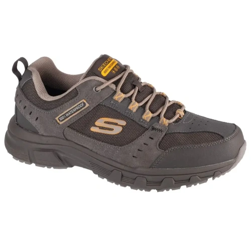 xlarge-clean_72f24ebc95a5a889.webp