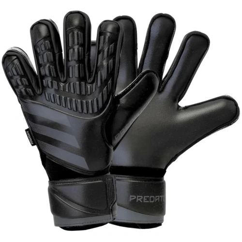 xlarge-clean_744bdb75bc8576b0.webp