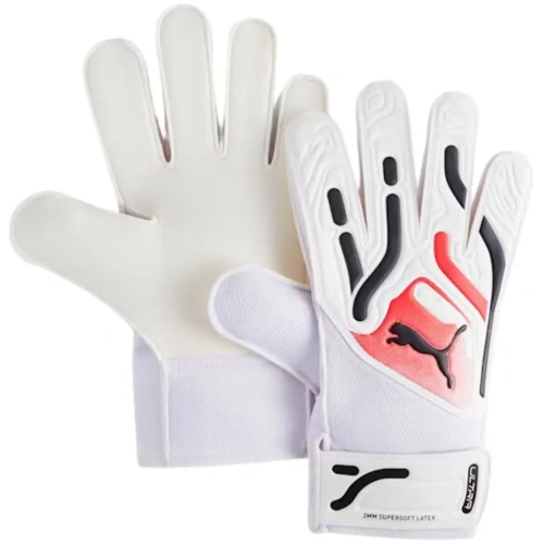xlarge-clean_7552f7801b7ef801.webp