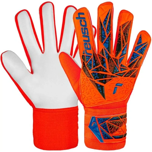 xlarge-clean_76a2b3e89d05e2a2.webp