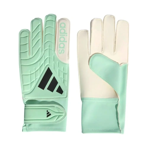 xlarge-clean_7a8ff52f7ec2c19f.webp
