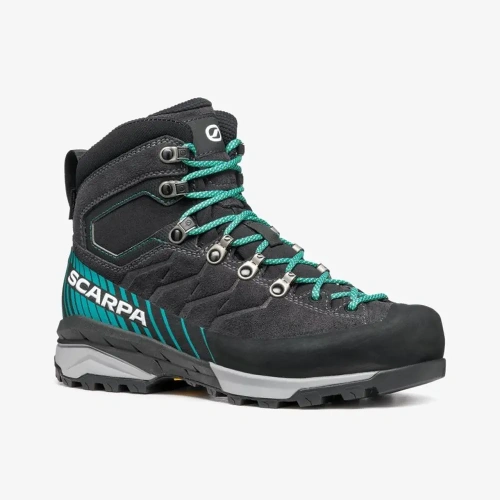 xlarge-clean_7c2bd0954be812a7.webp