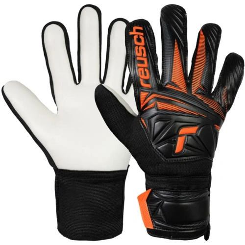 xlarge-clean_7d7a311d07a08f90.webp