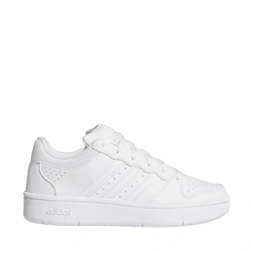 xlarge-clean_7f4085ec56d1d376.webp