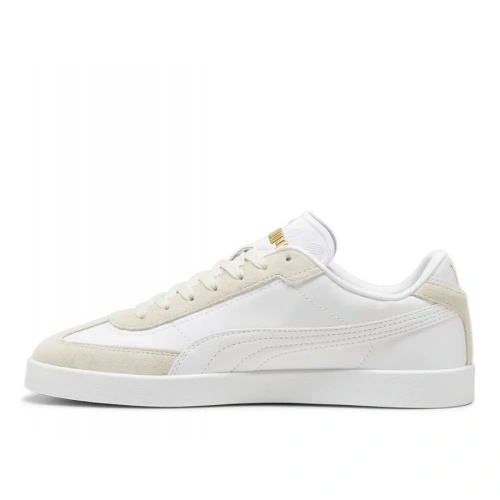 xlarge-clean_89c4196469274777.webp