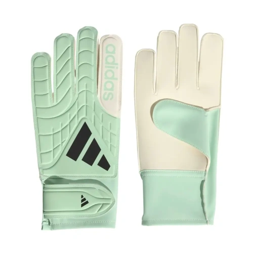 xlarge-clean_8b6d0d8565f9312e.webp