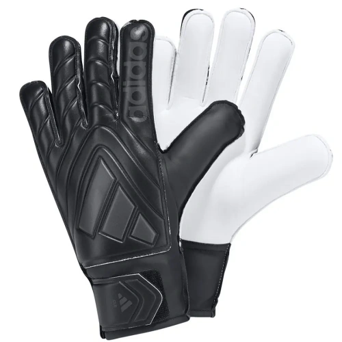xlarge-clean_8ce30e3431c165f5.webp