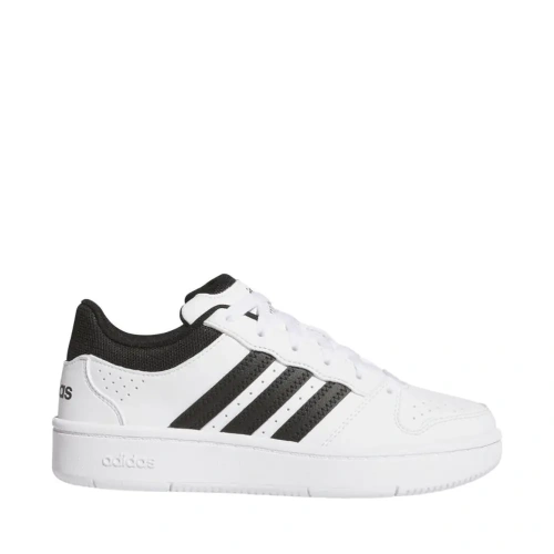 xlarge-clean_8d6c3eb78aeb2e2c.webp