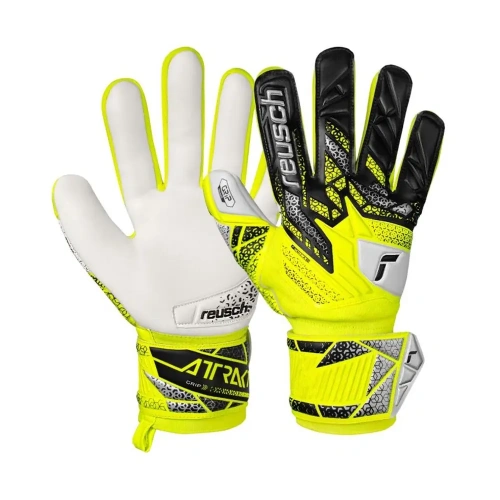 xlarge-clean_93f8ad74fe5768e4.webp