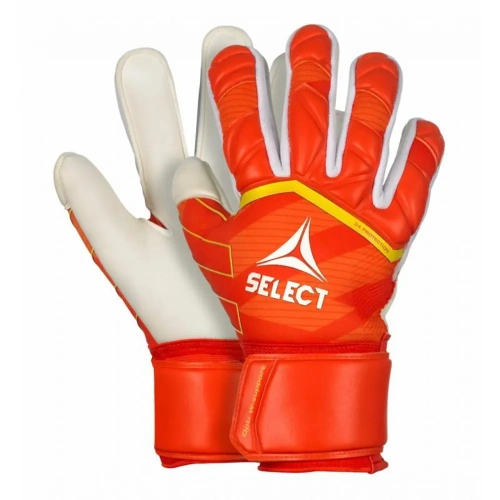 xlarge-clean_98fd4ba1c2824336.webp