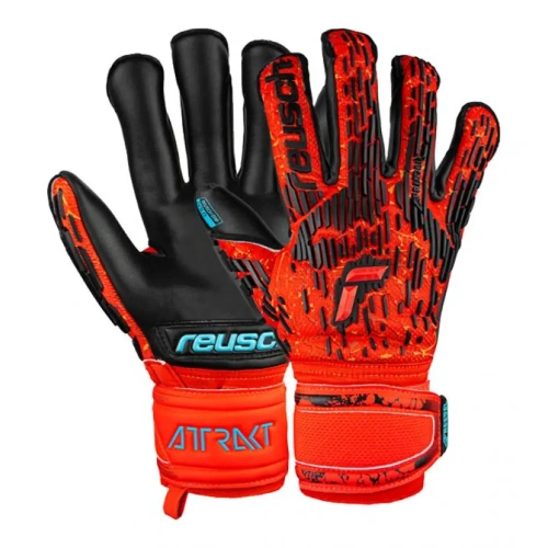 xlarge-clean_a19b8b304519636c.webp