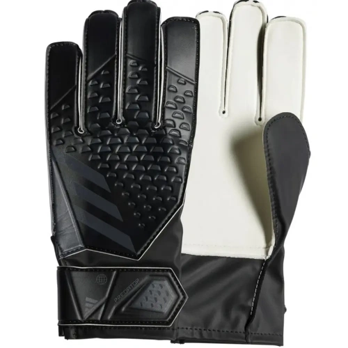 xlarge-clean_a1d66db0982f8d94.webp