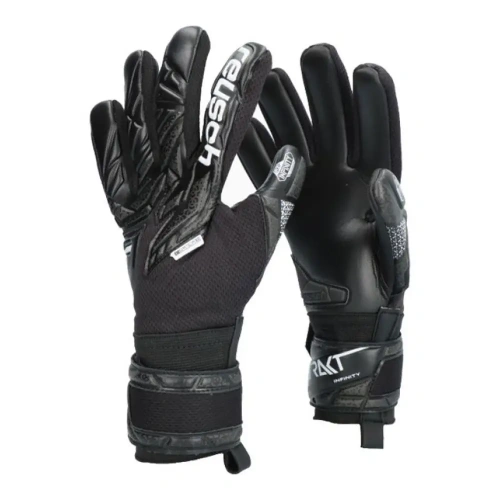 xlarge-clean_a2eb7eff5982df85.webp