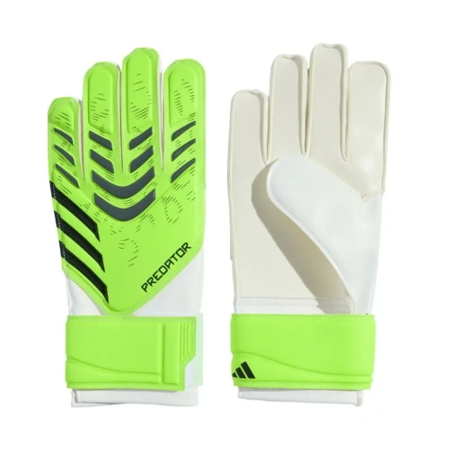 xlarge-clean_a6de3135aa87d3a0.webp