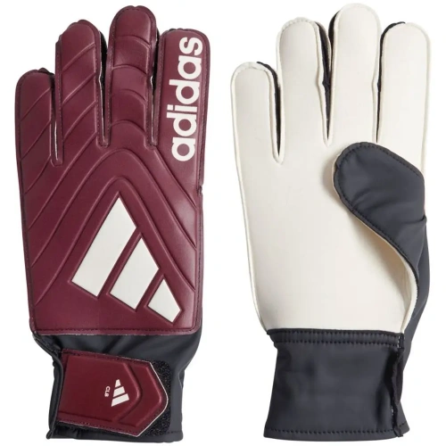 xlarge-clean_cef2a9288ffcbc08.webp