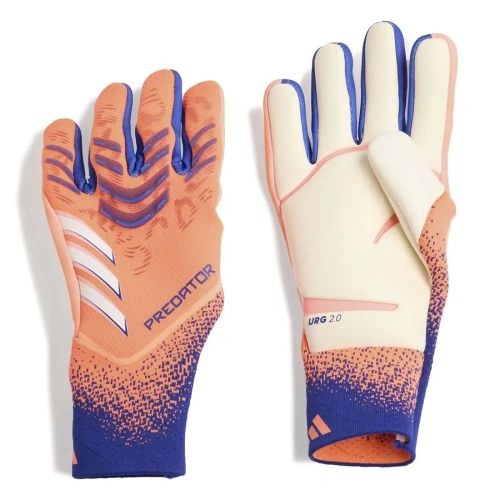 xlarge-clean_d4ec7876b57609b5.webp