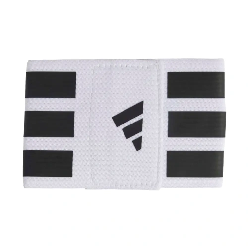 xlarge-clean_d5bb0689d4ad187d.webp