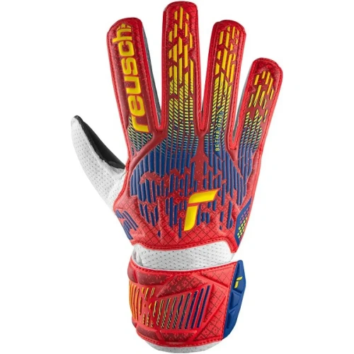 xlarge-clean_e8a36cf9c1687f63.webp