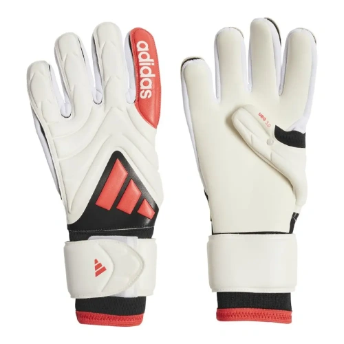xlarge-clean_edf39fbcaf58dfbe.webp