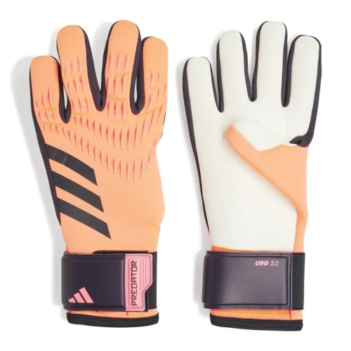 xlarge-clean_f5d0d03fa0ab97b2.webp